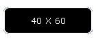 40 X 60